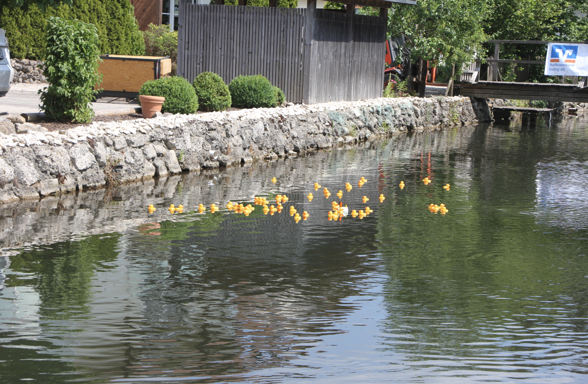 oku-oberding-entenrennen-2023