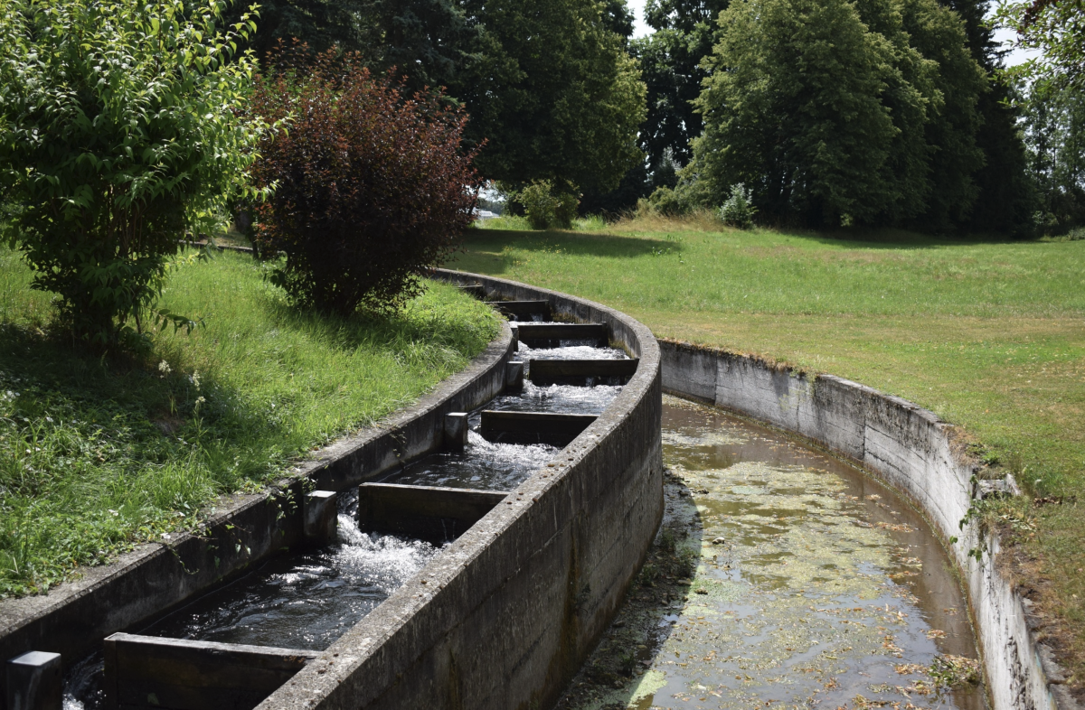 oku-aufkirchen-schweiger-2023